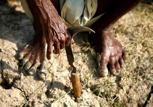 फरीदकोट: कर्जे के बोझ तले दबे किसान ने की आत्महत्या, खेत में फंदा लगाकर दी जान