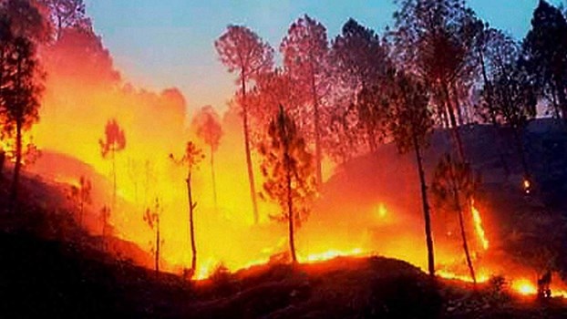 जंगल में लगी आग, वैष्णो देवी यात्रा पर लगी रोक