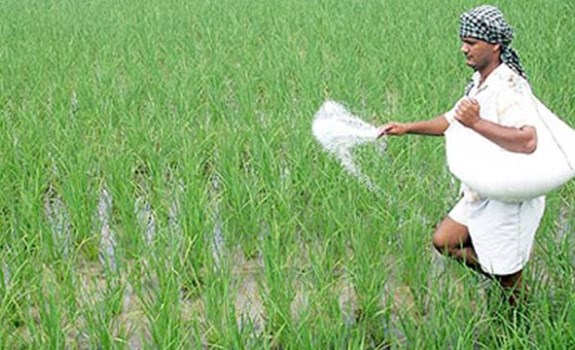 लोकसभा चुनाव से पहले मोदी सरकार का किसानों को तोहफा,  धान का MSP 200 रुपए/क्विंटल बढ़ाया 