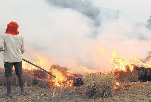 सरकार ने ठोका हरियाणा के 322 किसानों पर जुर्माना, जानें क्या है वजह