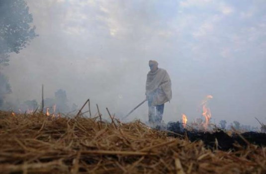 पंजाब: खेतों में पराली जलाने पर किसानों को नहीं मिलेगी किराए पर पंचायती जमीन