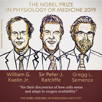 नोबेल पुरस्कारों की घोषणा की हुई शुरुआत, चिकित्सा के क्षेत्र में इन 3 वैज्ञानिकों को मिला नोबेल