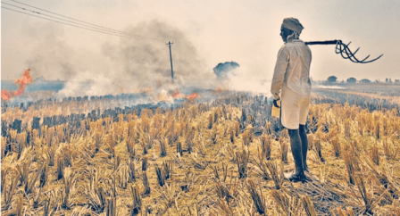 पराली ना जलाने वाले किसानों को हरियाणा सरकार देगी 100 रुपये प्रति क्विंटल से सहायता राशि