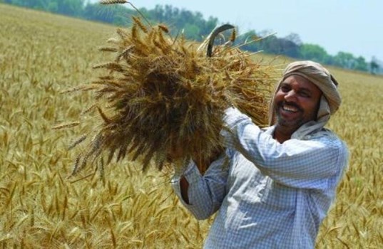 हरियाणा सरकार की किसानों को राहत, बिजली कनेक्शनों के बकाया बिलों पर जुर्माना राशि में छूट