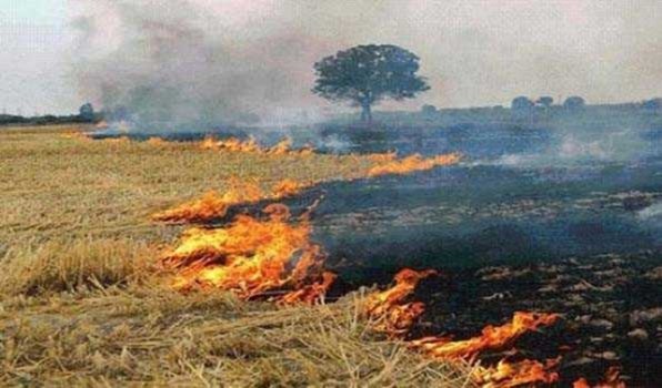 पंजाब सरकार ने पराली न जलाने वाले किसानों के मुआवजे के लिए फिर से नियम बदले