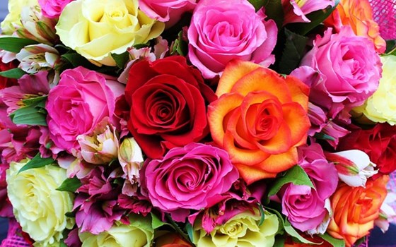 valentine week 2020: ROSE DAY पर जानें किस रंग के फूल का क्या होता है महत्व