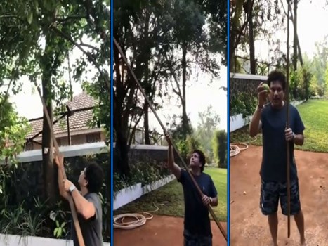 VIDEO: सचिन तेंदुलकर ने पेड़ से तोड़े नींबू, भज्जी बोले- पाजी 2-3 मेरे लिए...