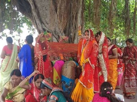 Vat Savitri Vrat 2020: जानिए वट सावित्री व्रत का शुभ मुहूर्त, पूजा विधि और महत्‍व