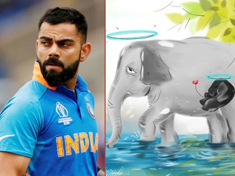 हथिनी की मौत से क्रिकेटर्स नाराज, कोहली बोले- जानवरों संग प्यार से आएं पेश