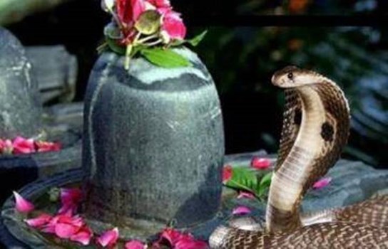 Nag Panchami 2020: जानिए कब है इस बार नाग पंचमी? इस शुभ मुहूर्त में करें पूजा