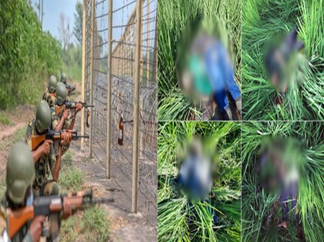 पंजाब में भारत-पाकिस्तान अंतरराष्ट्रीय सीमा पर BSF ने 5 घुसपैठियों को मार गिराया