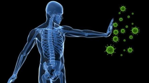 इस चीज का कीजिए सेवन, आसानी से बूस्ट होगा इम्यून सिस्टम!