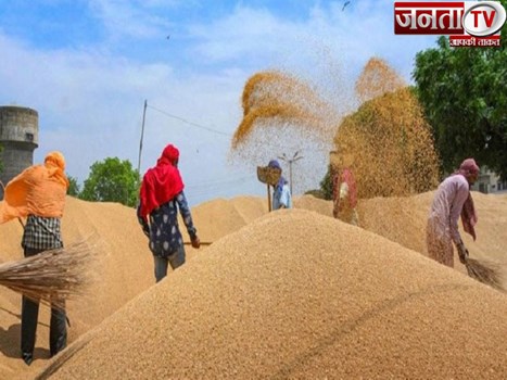 हरियाणा में 1 अप्रैल से शुरू होगी गेहूं की सरकारी खरीद, 48 घंटे में होगा किसानों का भुगतान