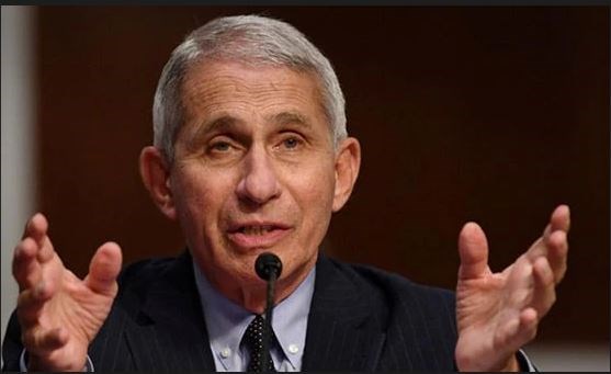 डॉक्टर एंथनी फाउची बोले- वैक्सीन कम है तो दूसरे डोज की समय सीमा बढ़ाना विवेकपूर्ण फैसला 