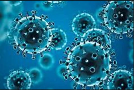 देश में पिछले 24 घंटों में कम हुए कोरोना वायरस के मामले, मौतों के आंकड़ों में तेजी जारी