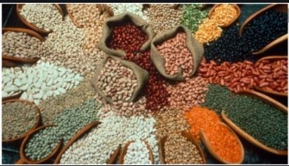 अरहर, उड़द व मूंग की दाल के भाव को लेकर सरकार का अहम फैसला, जानें 