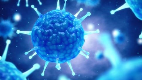 देश में पिछले 24 घंटों में 1 लाख से कम नए केस, 2,123 मरीजों ने गवाई जान   