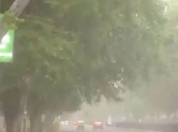 मौसम की जानकारी: हरियाणा में सात जुलाई तक बदलेगा मौसम, धूलभरी हवाओं के साथ बूंदाबांदी की संभावना