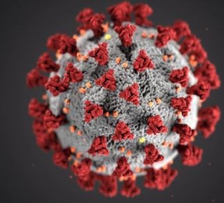 देश में बीते 24 घंटे में 39 हजार से अधिक मामले दर्ज, रिकवरी रेट 97.11 प्रतिशत हुआ