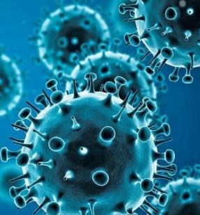 देश में फिर बढ़ रहे कोरोना वायरस के मामले, पिछले 24 घंटों में 41,649 नए मरीज, 593 लोगों की मौत 
