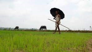 केंद्र सरकार की ओर से जल्द ही किसानों के खातों में आने वाली है 9वीं किस्त, ऐसे करें अप्लाई