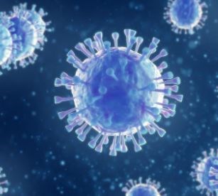 Corona Update: देश में कोरोना का कहर, बीते 24 घंटों में 44,658  नए मामले, 496 लोगों ने गंवाई जान 