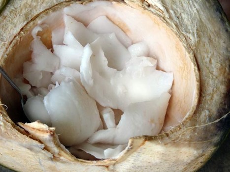 नारियल पानी से भी ज्यादा फायदेमंद होती है इसकी मलाई, ऐसे खाने से मिलते हैं गजब के फायदे