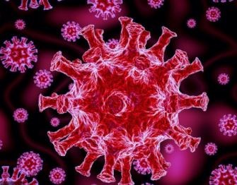 Corona Virus: देश में पिछले 24 घंटों में 25,404 नए मामले, 339 की मौत   