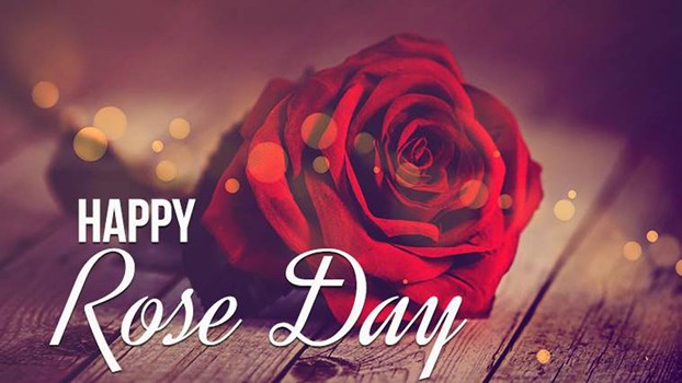 World Rose Day 2021: क्यों मनाया जाता है विश्व गुलाब दिवस? 