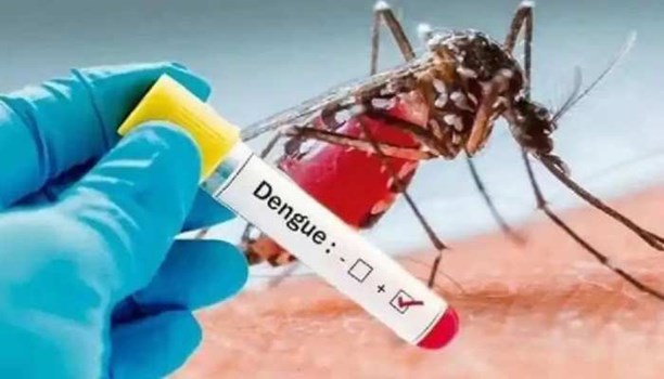 Dengue : डेंगू का कहर बढ़ा, पीजीआई में स्पेशल वार्ड बनाने की तैयारी