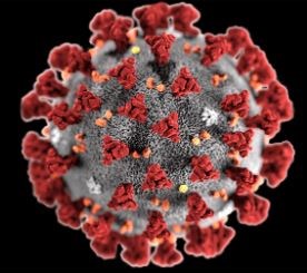 Coronavirus: भारत में कोरोना वायरस के 29 हजार से अधिक केस दर्ज, केरल में हालात ज्यादा खराब 
