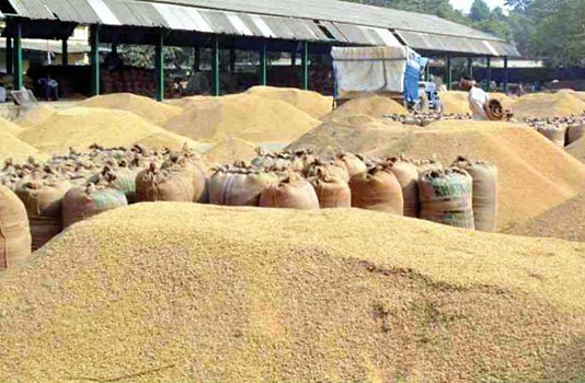 हिमाचल किसानों को पंजाब में धान बेचना पड़ा भारी, पंजाब पुलिस ने ट्रैक्टर-ट्रालियों को किया सीज