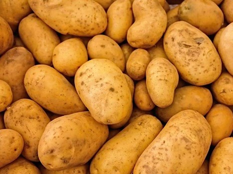 अगर आप भी खाते हैं फ्रिज में रखा आलू तो हो जाएं सावधान, बढ़ सकता है कैंसर का खतरा