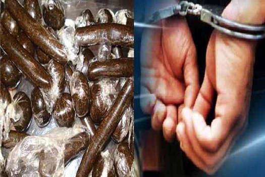 Himachal Pradesh: मंडी जिला पुलिस को बड़ी कामयाबी, 9 किलो चरस के साथ तस्कर गिरफ्तार