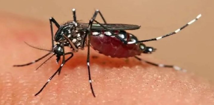 कानपुर और कन्नौज के बाद अब लखनऊ में जीका वायरस ने दी दस्तक, इतने मामलों की हुई पुष्टि