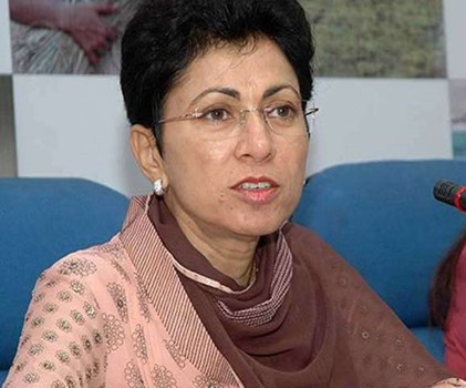 सैलजा ने जन जागरण अभियान के लिए पर्यवेक्षकों को लिया नियुक्त, हुड्डा खेमे के नेताओं किया दरकिनार