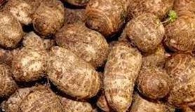 Health Tips: अरबी के ये फायदे जानकर आप तुरंत कर लेंगे अपनी डाइट में शामिल