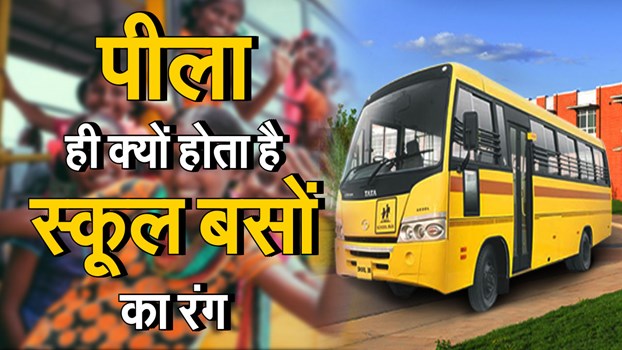 स्कूल बसों का रंग पीला ही क्यों होता है, जानें इसके पीछे की वजह? 