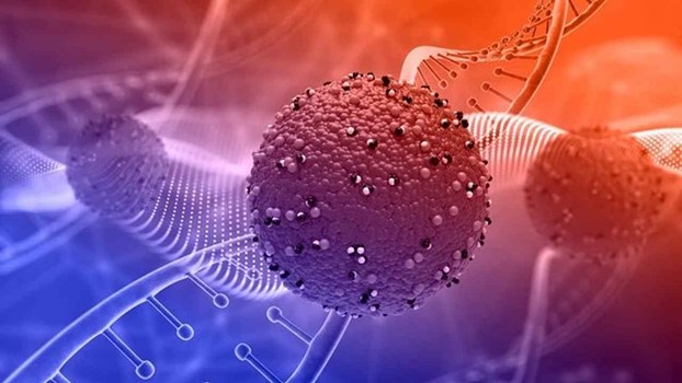  साउथ अफ्रीका से कर्नाटक पहुंचे 2 लोग कोरोना संक्रमित, डेल्टा वैरिएंट की पुष्टि