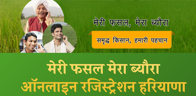 रबी की फसलों के लिए मेरी फसल-मेरा ब्यौरा पोर्टल का Registration शुरू, MSP पर होगी खरीद