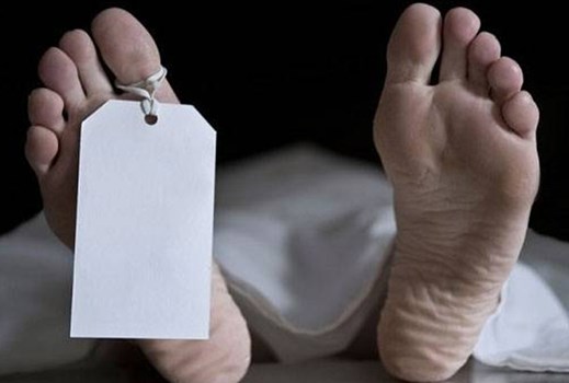 यमुनानगर: युवक ने कुत्तों की लड़ाई में बुजुर्ग महिला को उतारा मौत के घाट 