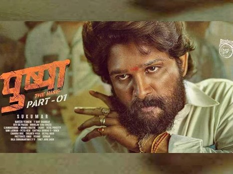 Pushpa Box Office Collection: ‘पुष्पा’ ने बनाया नया रिकॉर्ड, सिर्फ हिंदी वर्जन से कमा लिए इतने करोड़