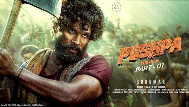 Amazon Prime पर पुष्पा के हिंदी वर्जन का इंतजार हुआ खत्म, जानें कब से देख सकेंगे ये सुपरहिट फिल्म