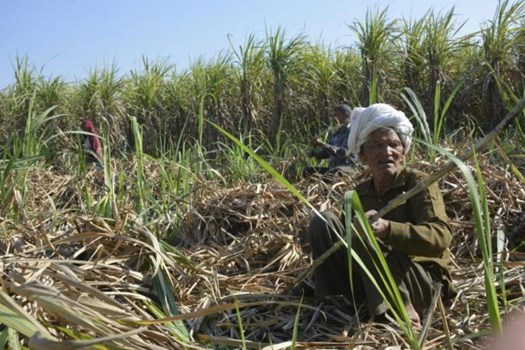 कर्ज देने से बचने के लिए किसान ने रची 6 लाख की लूट ऐसी पटकथा, पुलिस भी हैरान