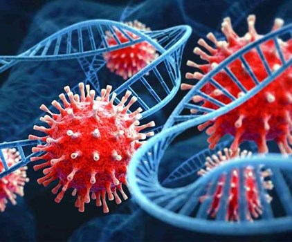 राजधानी में कोरोना बेकाबू, 24 घंटे में 28 हजार से ज्यादा मामले, 31 की मौत