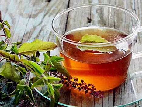 बदलते मौसम में सर्दी-खांसी से बचने में मददगार साबित होगा तुलसी का काढ़ा, बनाना है बहुत आसान