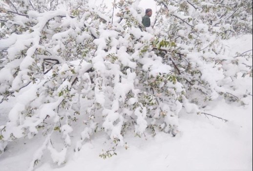Germany: ट्रेकिंग करने गए परिवार को मिला बर्फ की चादर में ढ़का महल, सब हैरान