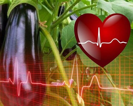 बैंगन के सेवन से होते हैं कई फायदे, वजन कम के साथ मेमोरी तेज करने में लाभदायक