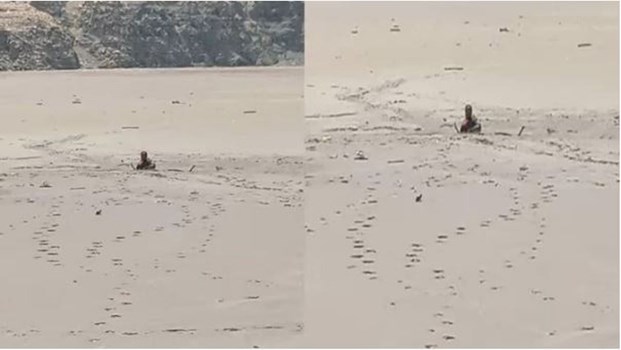 उत्तराखंड: रेतीली दलदल में शख्स के फंसने से हड़कंप, बचाने के लिए ली जाएगी हेलीकॉप्टर की मदद