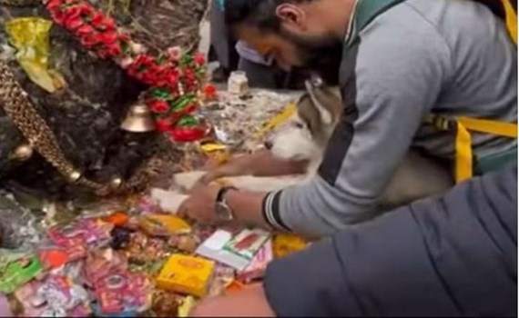 केदारनाथ में श्रद्धालु ने कुत्ते के साथ की नंदी की पूजा तो मच गया बवाल, जानें क्या है पूरा मामला